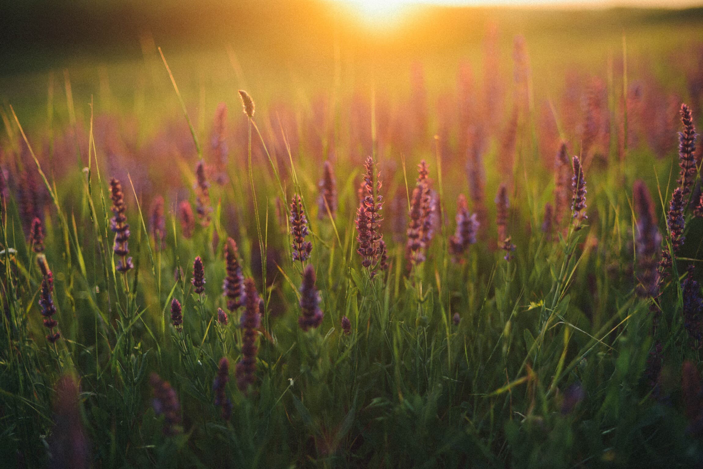 0k1byj t20 opmn08 (1)